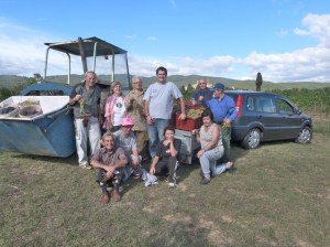 Team Last Harvest 2015 - Cappannelle Farm